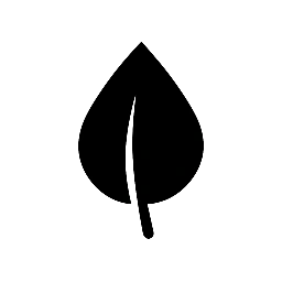 Pétalos de Luz